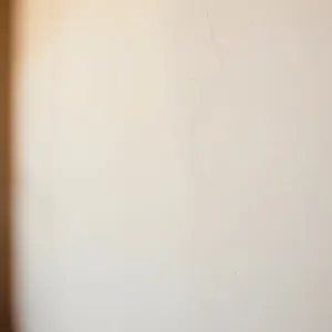 Tynki Cementowo Wapienne