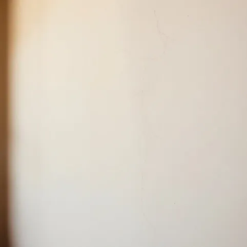 Tynki Cementowo Wapienne